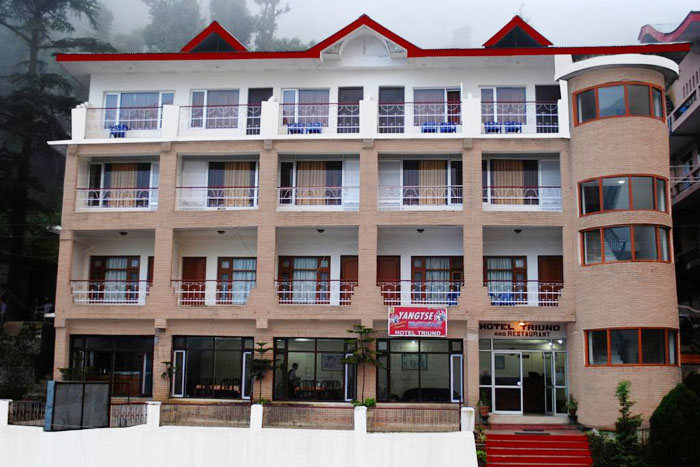 Hotel Triund Heights,Dharamshala, Dharamshala
